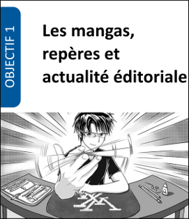Formation mangas Lecture jeunesse Formation mangas Lecture jeunesse