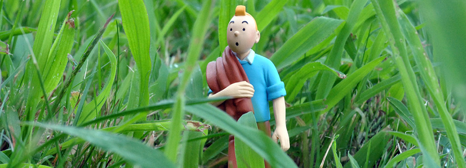Petite conférence "Dans les coulisses des aventures de Tintin" Petite conférence "Dans les coulisses des aventures de Tintin"