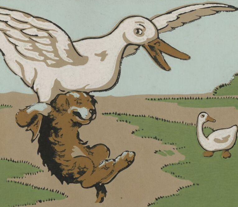 Zizi à la ferme n°2 : images à colorier, Société Nestlé (Paris). 1923