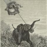 Exposition "À l’aventure ! Edouard Riou, illustrateur de Jules Verne"