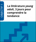 Formation "La littérature young adult, 3 jours pour comprendre la tendance"